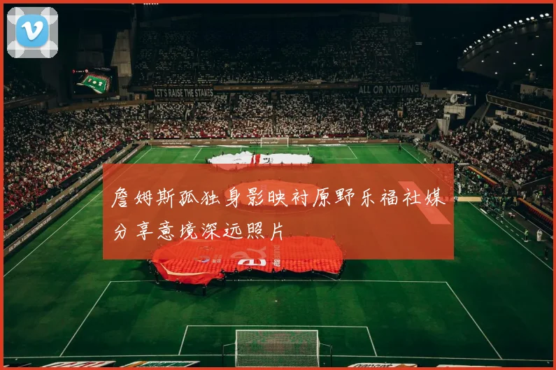 詹姆斯孤独身影映衬原野乐福社媒分享意境深远照片