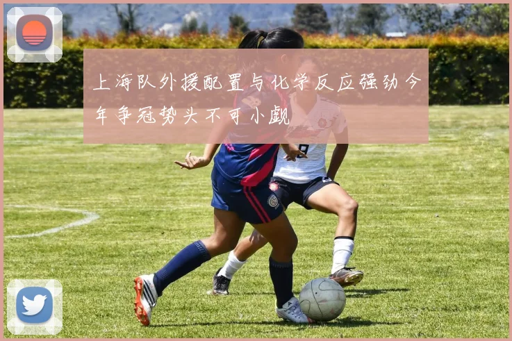 上海队外援配置与化学反应强劲今年争冠势头不可小觑